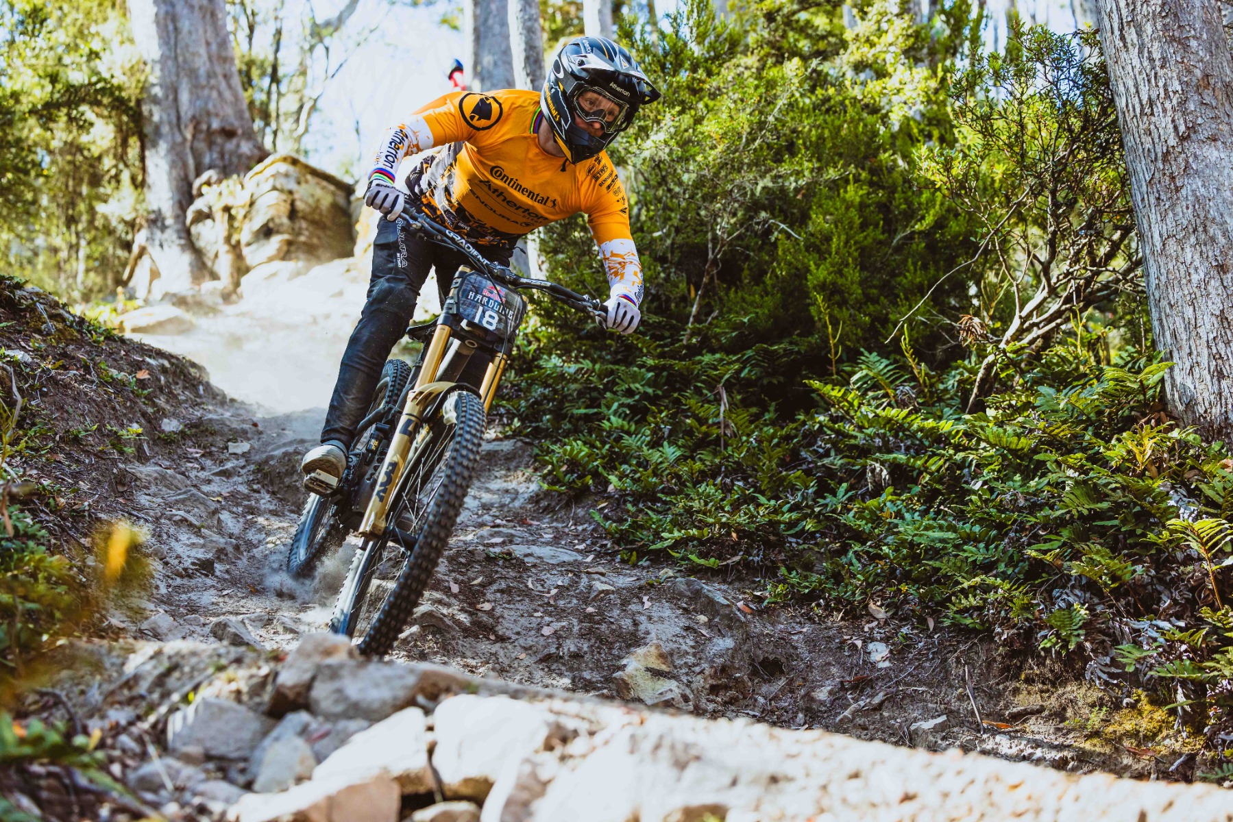 DG_Hardline_Tasmania_2025-10799