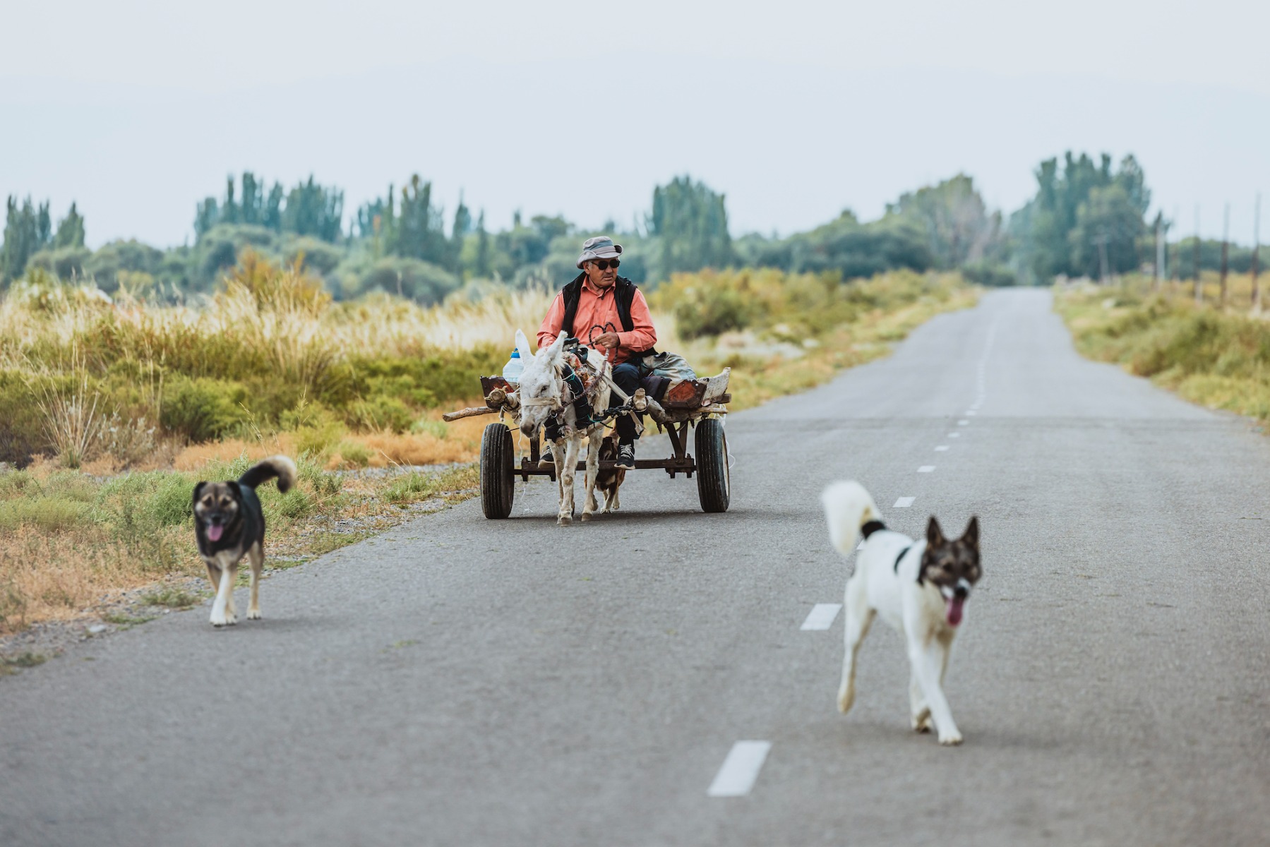 DG_Ridgeline_Kazakhstan-561