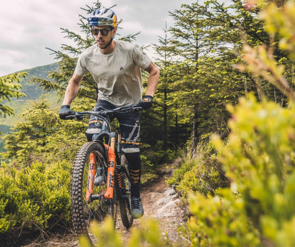 Forest of Dean Festival